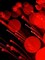 Pyrotechnic II Poster Print by Monika Burkhart - Item # VARPDXPSBHT324